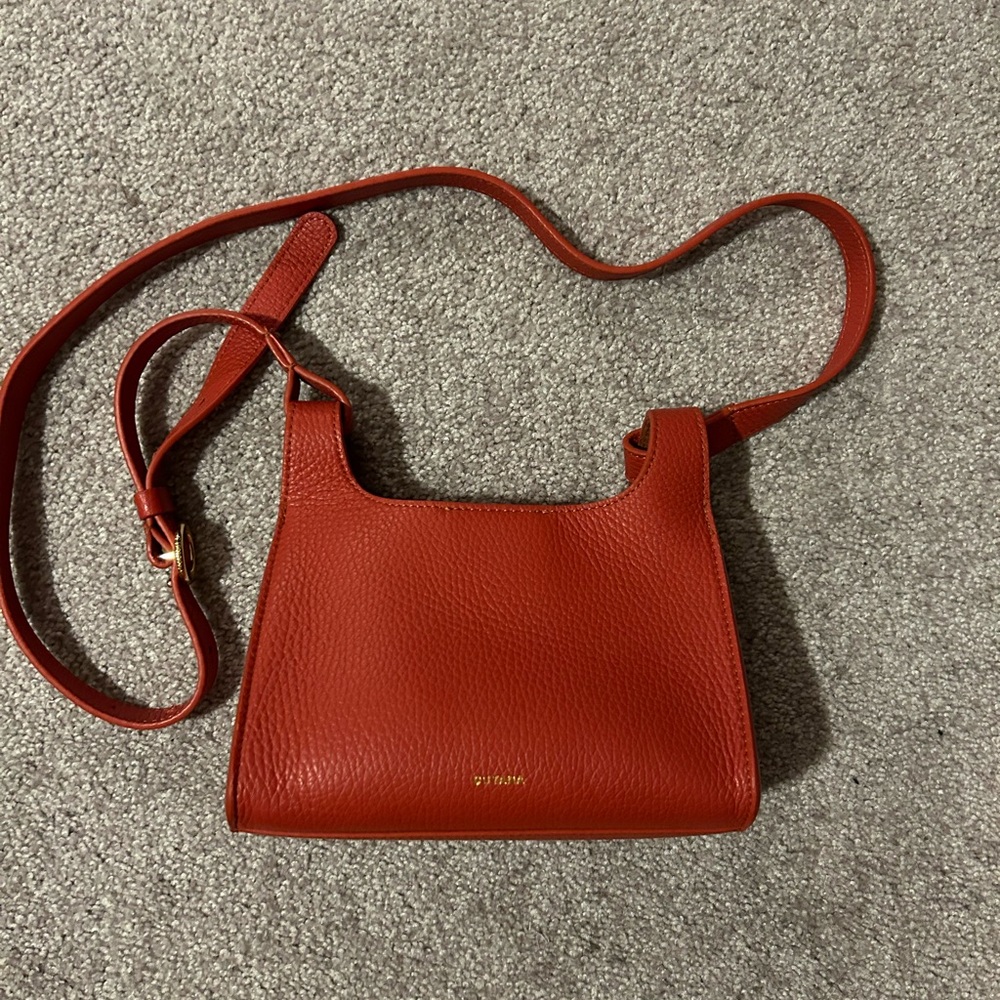 Cuyana mini double loop crossbody - dark coral leather